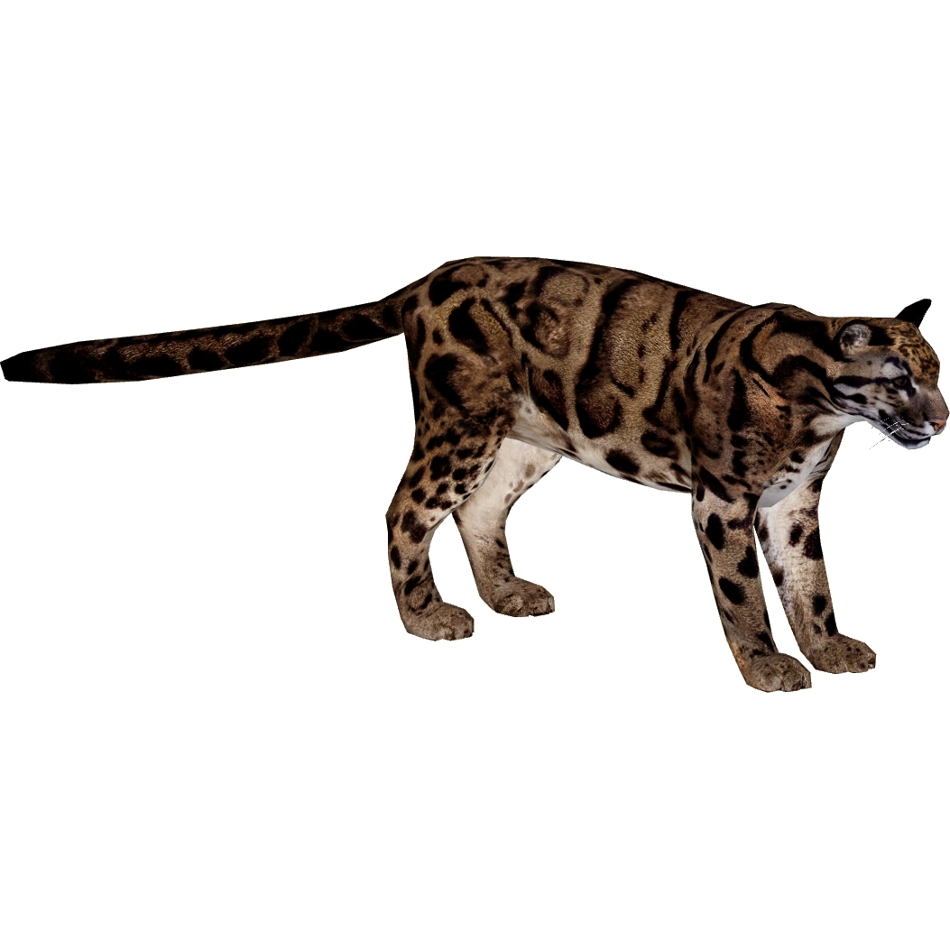 Clouded Leopard (MiBound) | ZT2 Download Library Wiki | Fandom