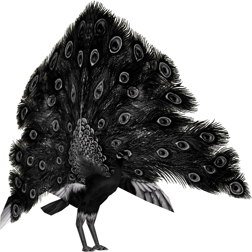 Giant Charcoal Peacock (Scooby) | ZT2 Download Library Wiki | Fandom