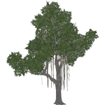 Kapok Tree (Demon Hunter)