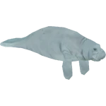 West Indian Manatee (Buffzoo) (215 KB) West Indian Manatee (Buffzoo)