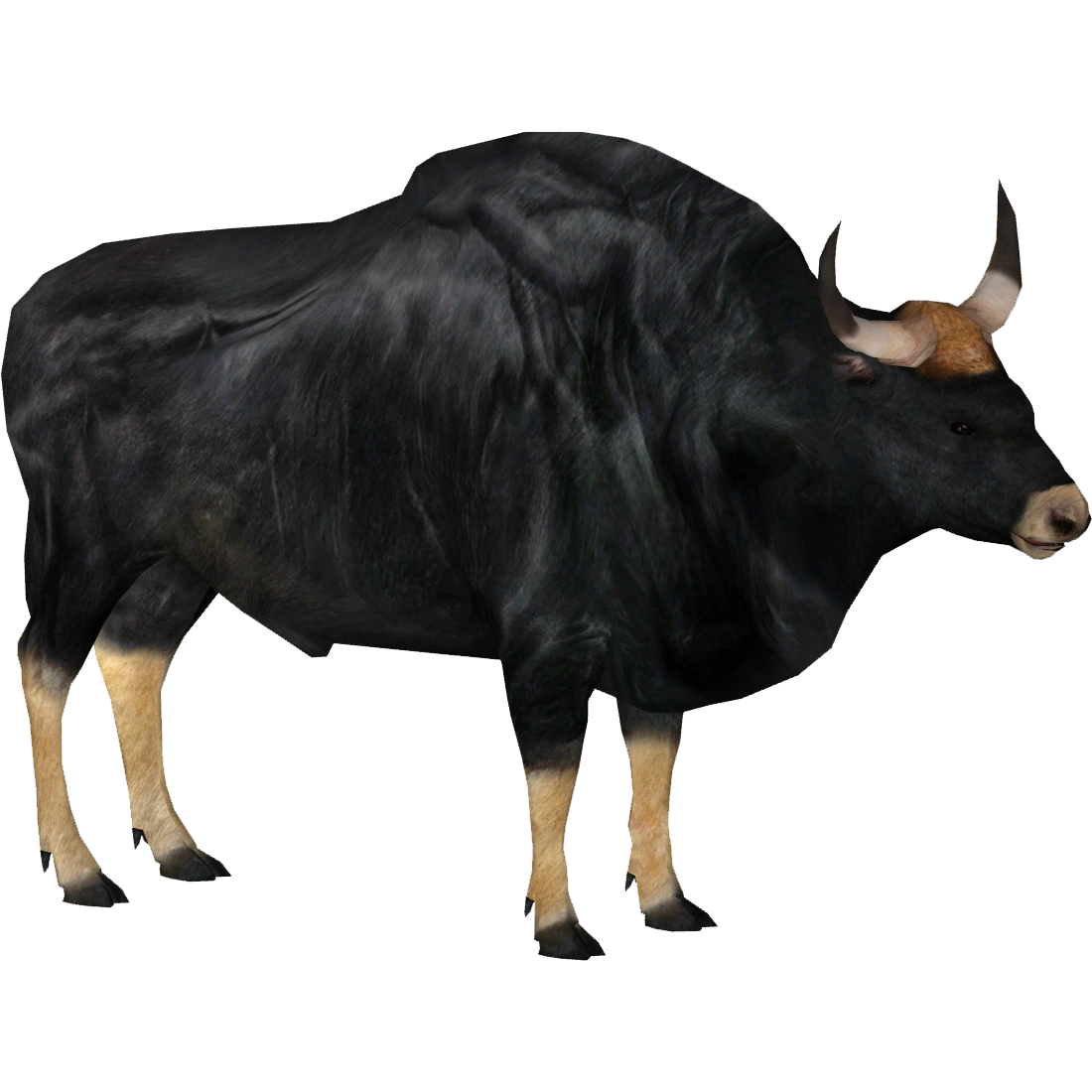 Gaur (Dwyqyjt & XXH_New_Times) | ZT2 Download Library Wiki
