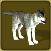 Zoo Tycoon 2: Endangered Species Demo : Blue Fang Games : Free Download,  Borrow, and Streaming : Internet Archive