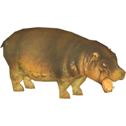Category:Hexaprotodon Pack (Purple Hippo) | ZT2 Download Library