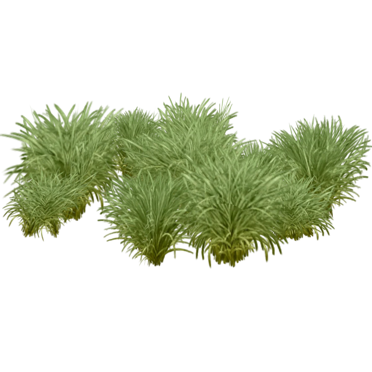 Marram Grass (ZetaDesigns) ZT2 Download Library Wiki Fandom