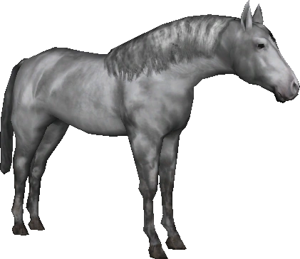 HORSE.Ⅱ2さま Billy Royal® Oiled Hermann Oak Double and Stitched Leather Split