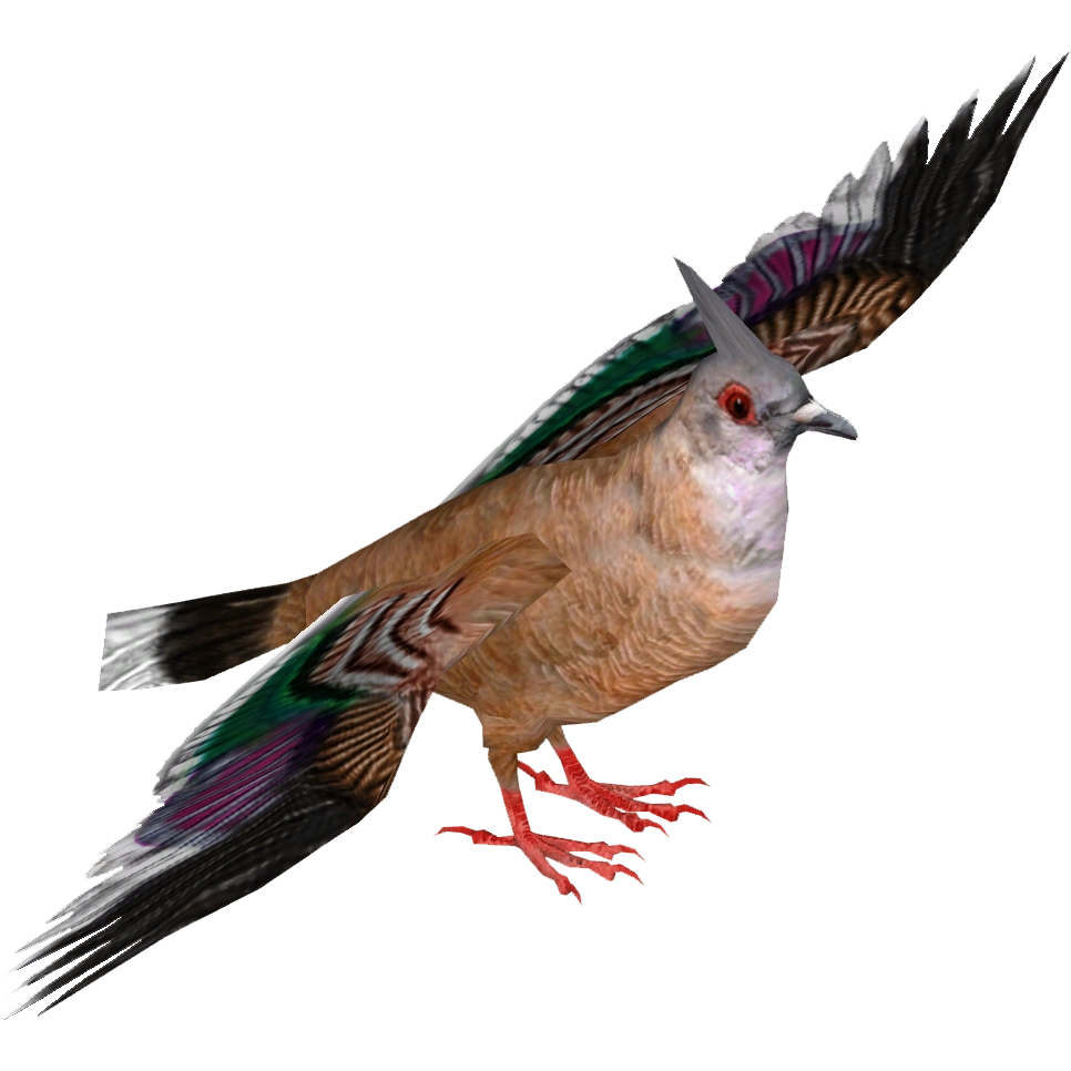 Crested Pigeon (Tamara Henson) | ZT2 Download Library Wiki | Fandom