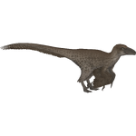 Deinonychus (Lgcfm & Ulquiorra)