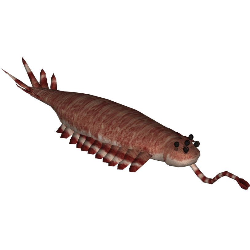 Opabinia (Bunyupy) | ZT2 Download Library Wiki | Fandom