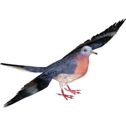 Category:Extinct Doves & Pigeons | ZT2 Download Library Wiki | Fandom