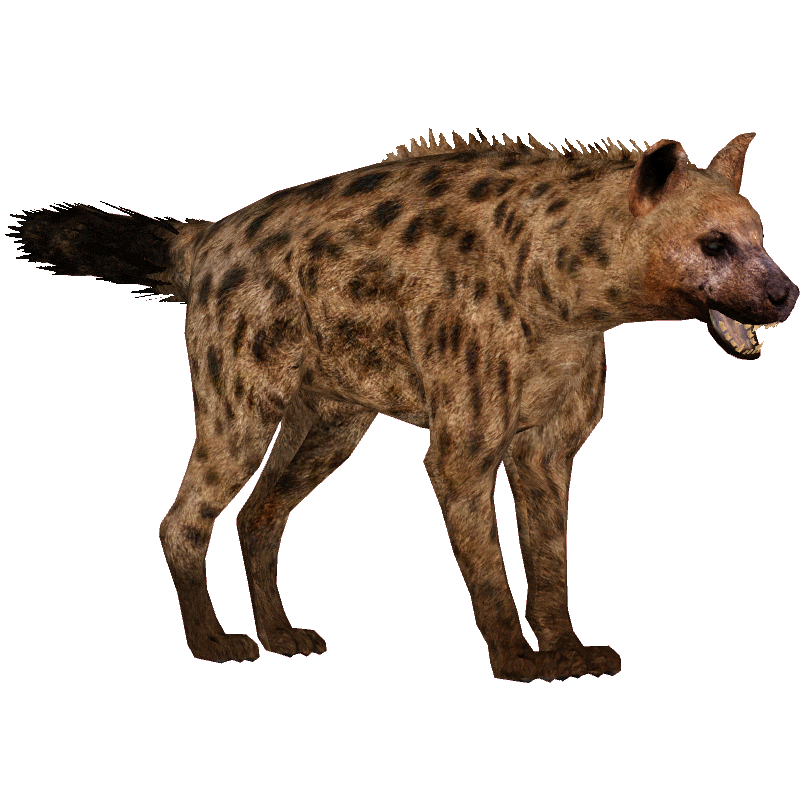 Spotted Hyena (Tyranachu) | ZT2 Download Library Wiki | Fandom