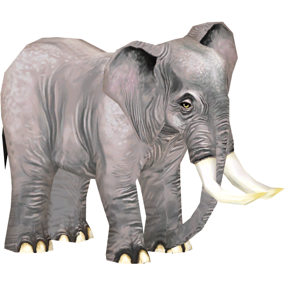 ◆BLUE ELEPHANT◆ DAPE leopard DAPE leopard - BLUE ELEPHANT