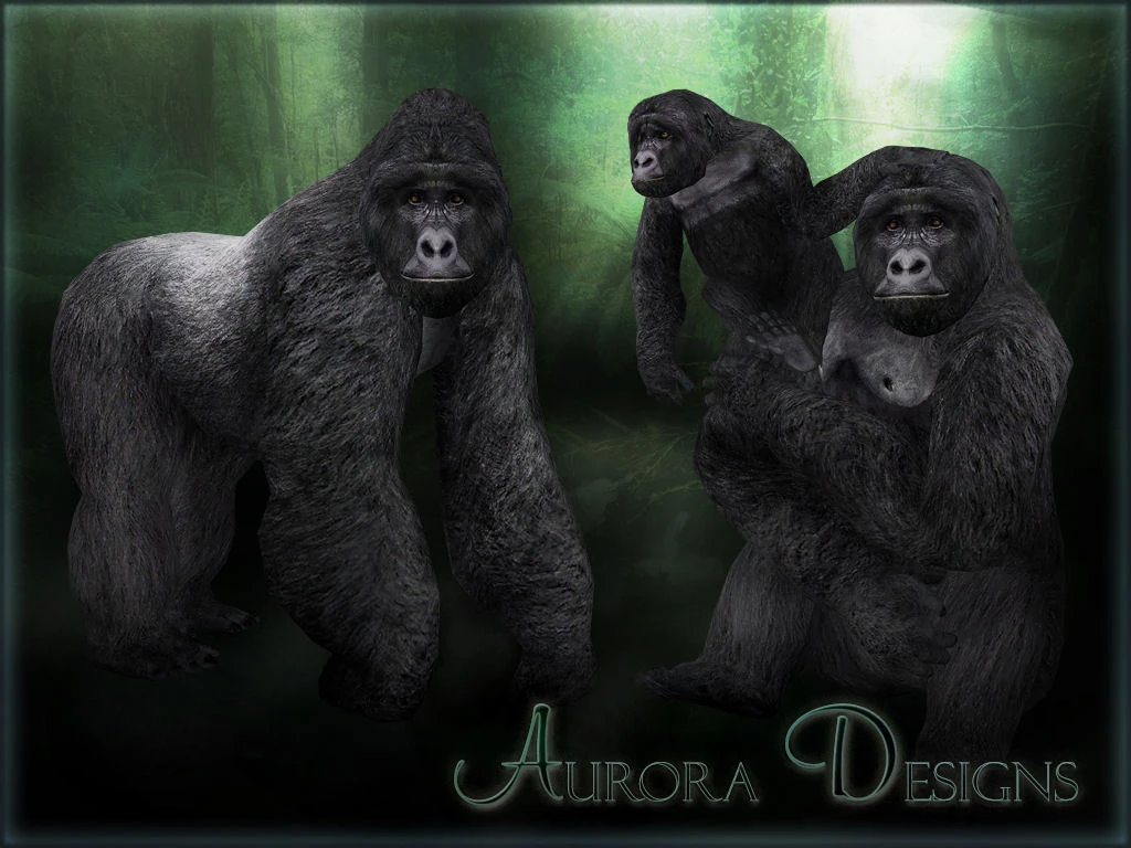 Mountain Gorilla (Aurora Designs) | ZT2 Download Library Wiki | Fandom