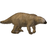 Jefferson's Ground Sloth (Lazardi)