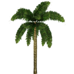 Coconut Palm (Zeta-Designs)