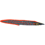 Fire Eel (Cowrie)