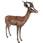 Gerenuk (DutchDesigns) (1.87 MB) Gerenuk (DutchDesigns)