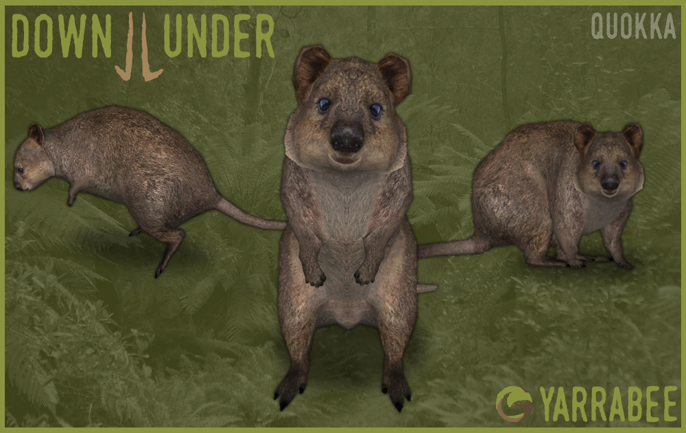 necoページquokka QUOKKA Search & Find Puzzle – Interactive Jigsaw for Kids