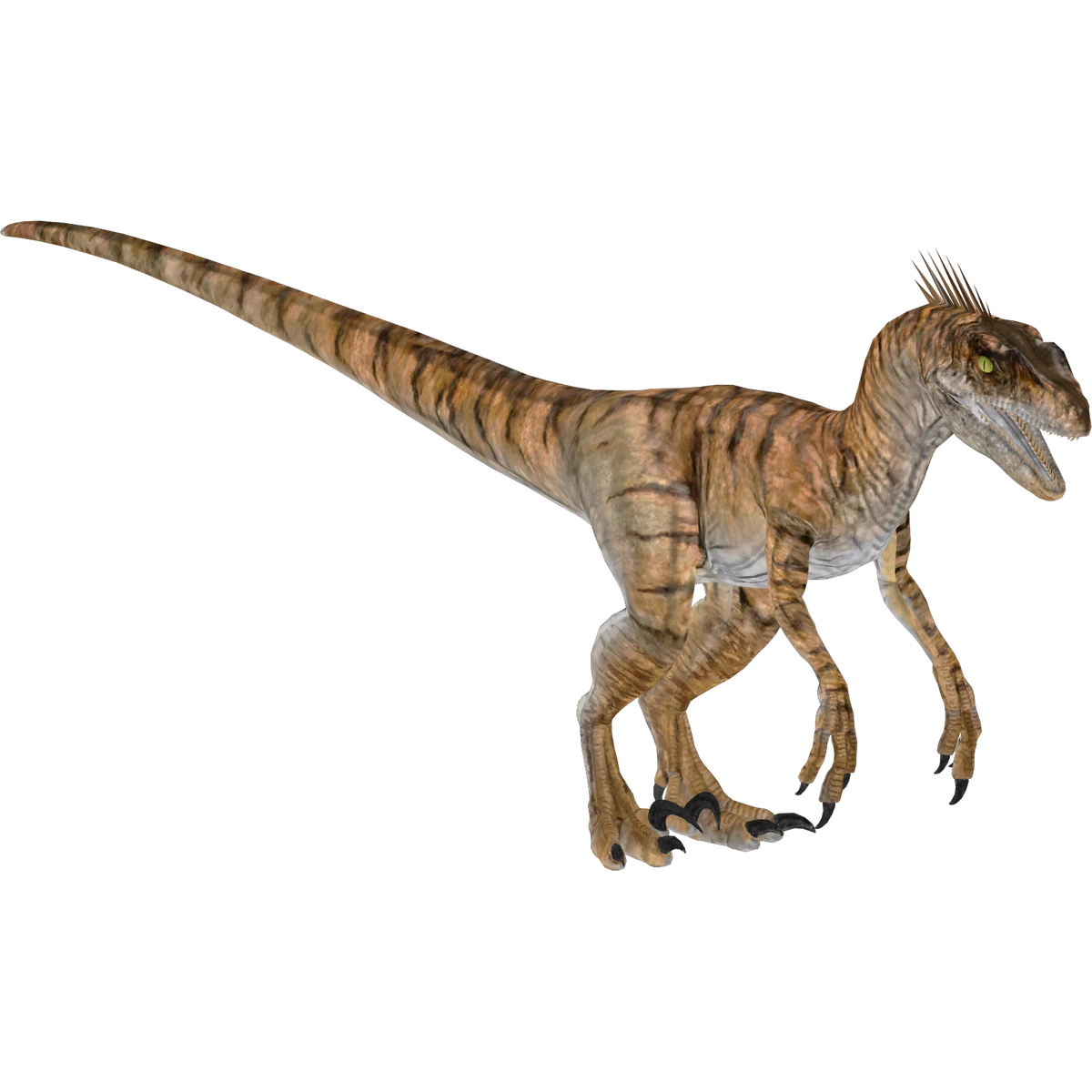 Jurassic World Velociraptor (Zoo Tycoon 2 Thailand) ZT2 Download