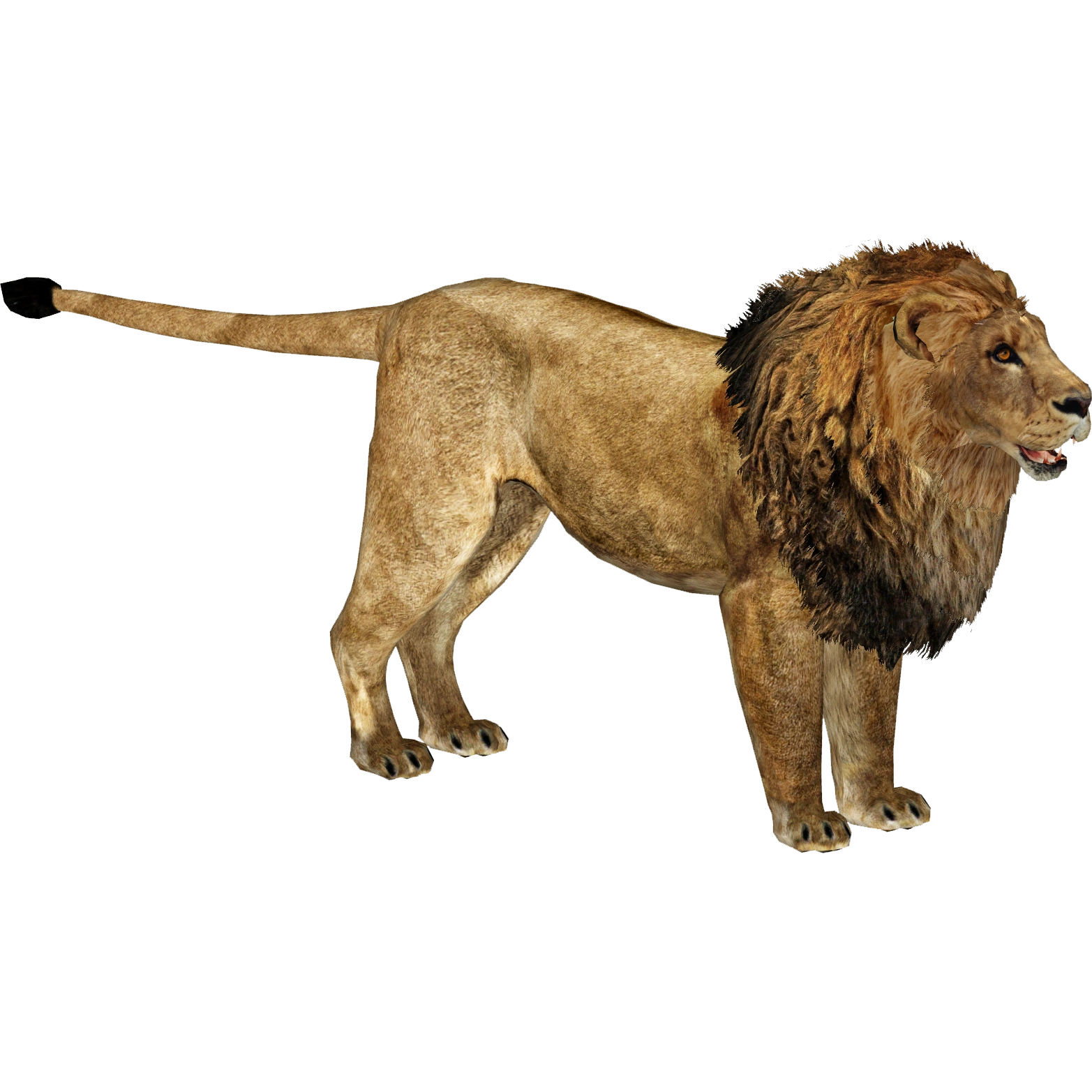 African Lion (Ultamateterex2) | ZT2 Download Library Wiki | Fandom