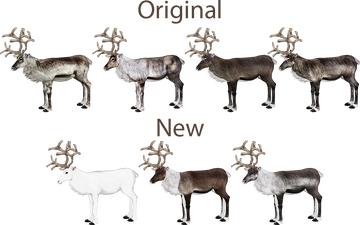 European Reindeer (ZTABC Team) | ZT2 Download Library Wiki