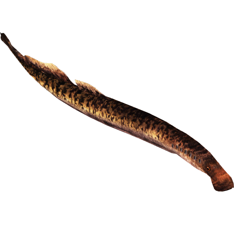 Sea Lamprey (Eternal Arts) | ZT2 Download Library Wiki | Fandom