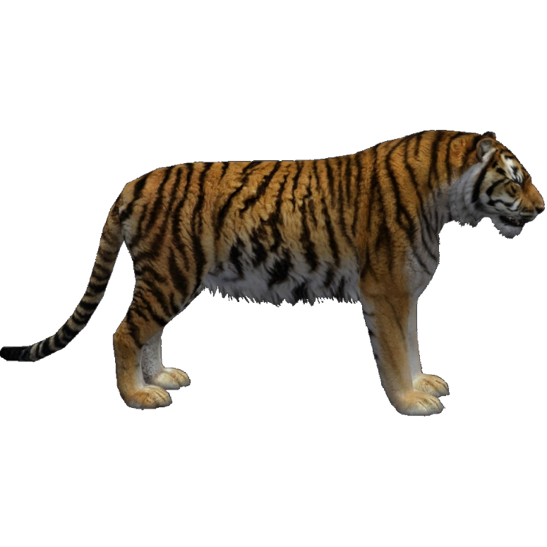 Siberian Tiger (Aurora Designs) | ZT2 Download Library Wiki | Fandom