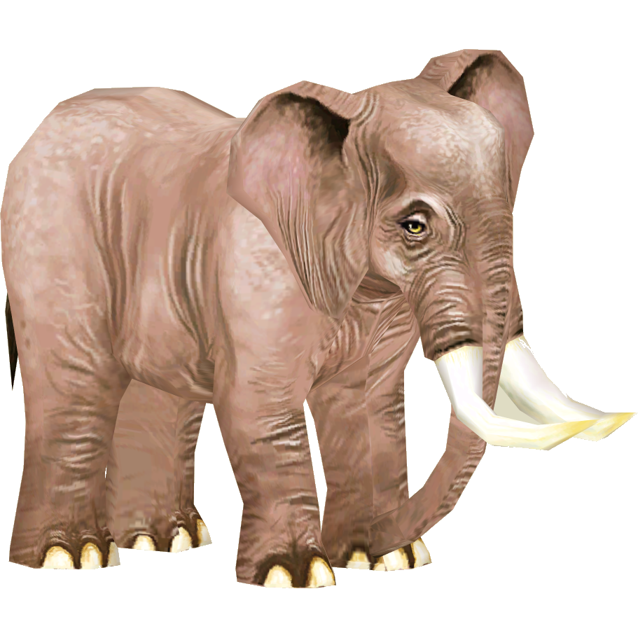 Category:Elephants | ZT2 Download Library Wiki | Fandom