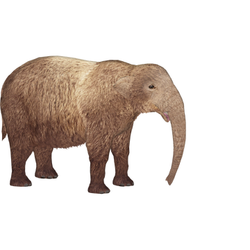 American Mastodon (Lgcfm & Ulquiorra) | ZT2 Download Library