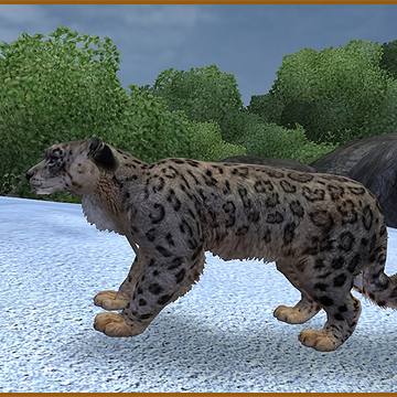 Snow Leopard Aurora Designs Zt2 Download Library Wiki Fandom