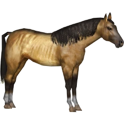Category:Horse Pack (Tamara Henson) | ZT2 Download Library Wiki