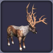 Bush-Antlered Deer