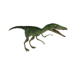 Compsognathus (Deinonychus 110 & Samuel)