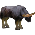 Gaur (Kingcobrasaurus)