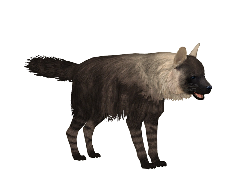 HYENA STATION  Brown Hyena (Lgcfm) | ZT2 Download Library Wiki | Fandom