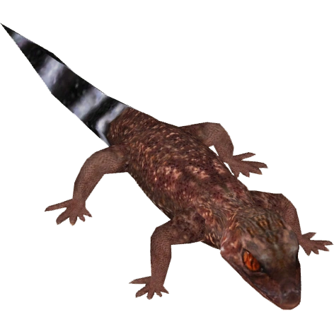 Kuroiwa's Ground Gecko (Tamara Henson) | ZT2 Download Library Wiki