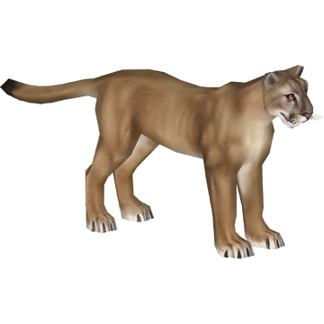 Puma wiki online