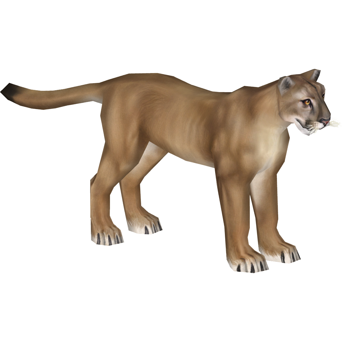 North American Puma The Restorers ZT2 Download Library Wiki Fandom