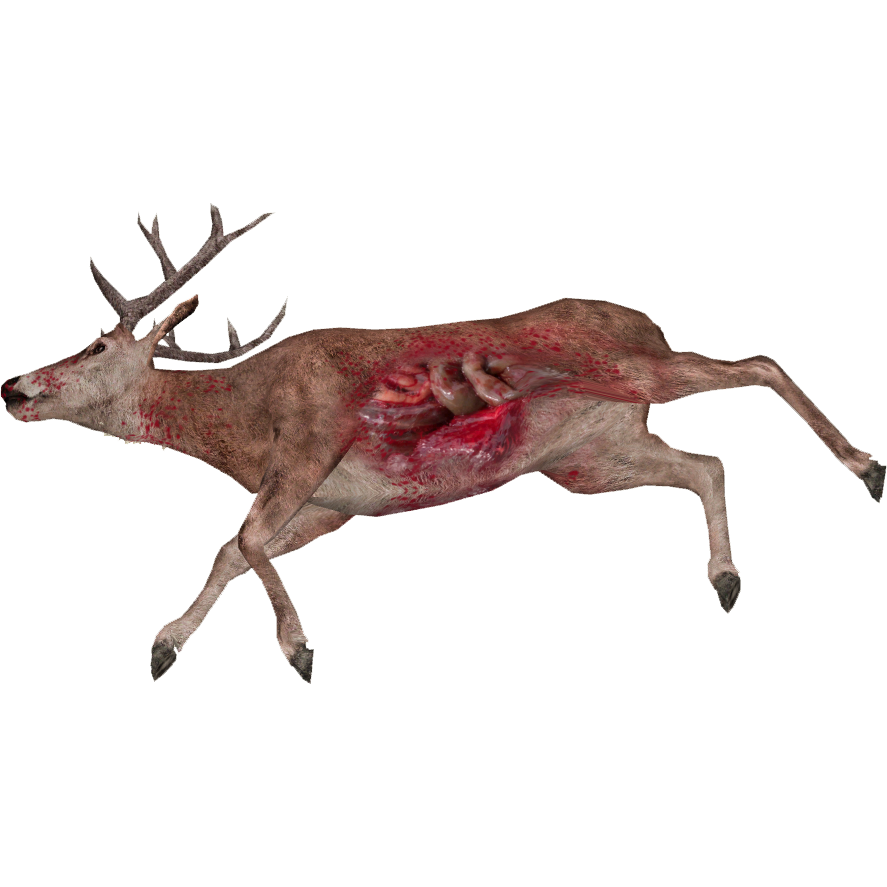 Featured image of post Dead Deer Cartoon Image