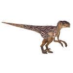 Velociraptor (Philly)