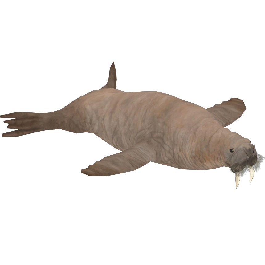 Pacific Walrus (Buffzoo) | ZT2 Download Library Wiki | Fandom