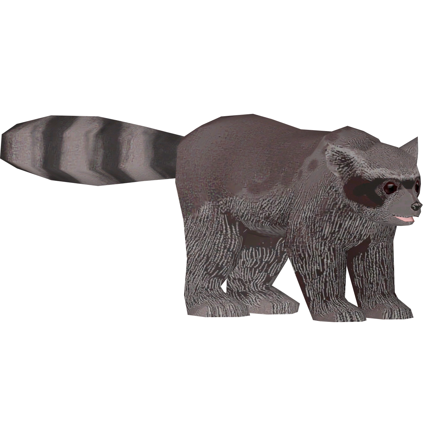 Raccoon (Zoo Admin Design Team) | ZT2 Download Library Wiki | Fandom