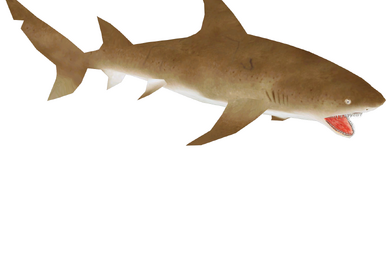 Oceanic Whitetip Shark (Zerosvalmont)/Version 2