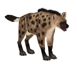 HYENA STATION  Crocuta Crocuta Spotted Hyena (Beige) Alert Line - Machinegun