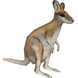Category:Australian Animals | ZT2 Library Wiki | Fandom