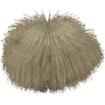 Subantarctic Tussock Grass (Whalebite)