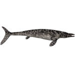 Halisaurus (Tyranachu)
