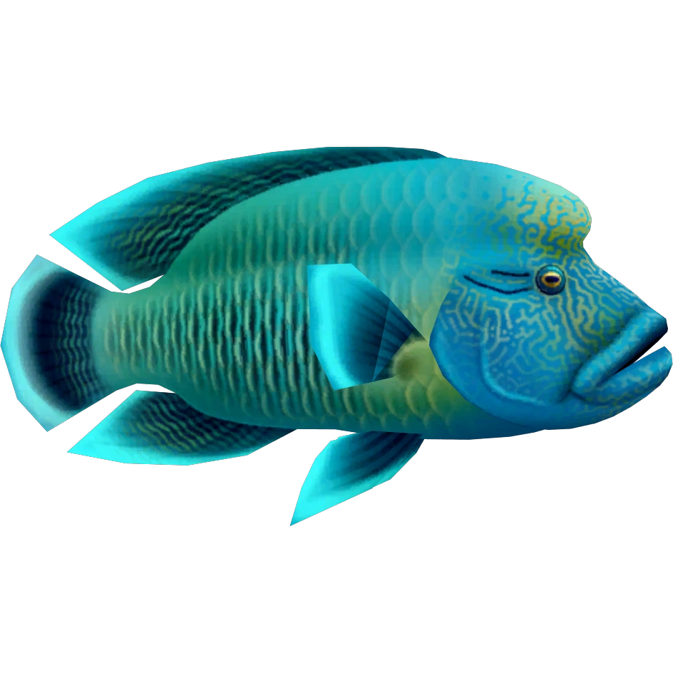 Humphead Wrasse (Buffzoo, Serpyderpy & Thom) | ZT2 Download