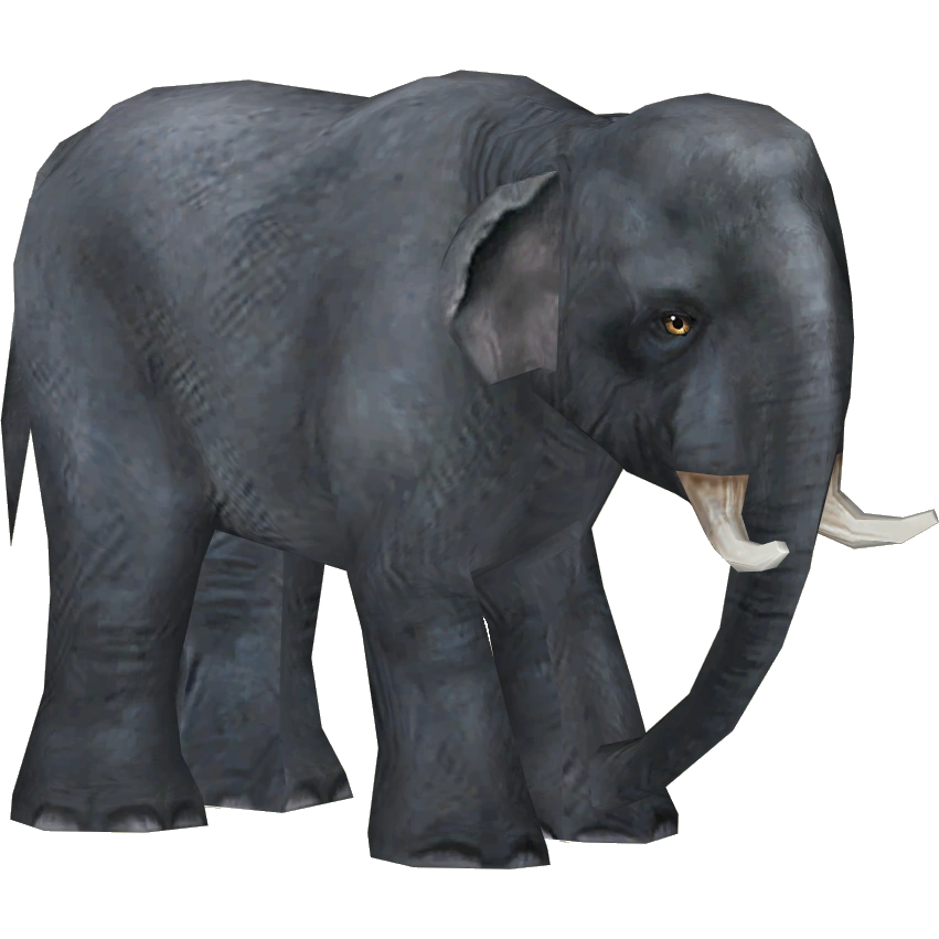 ELEPHANT 2冊 Takara Tomy AS-02 Animal Adventure African Elephant Figure