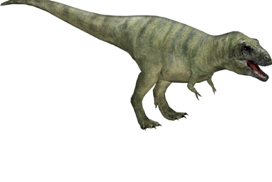 値引き中　タートルズ　DON & TRIPPY TYRANNOSAURUS 値引き中 タートルズ DON & TRIPPY TYRANNOSAURUS Cave Turtle