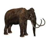 Woolly Mammoth (Tyranachu)/Version 1